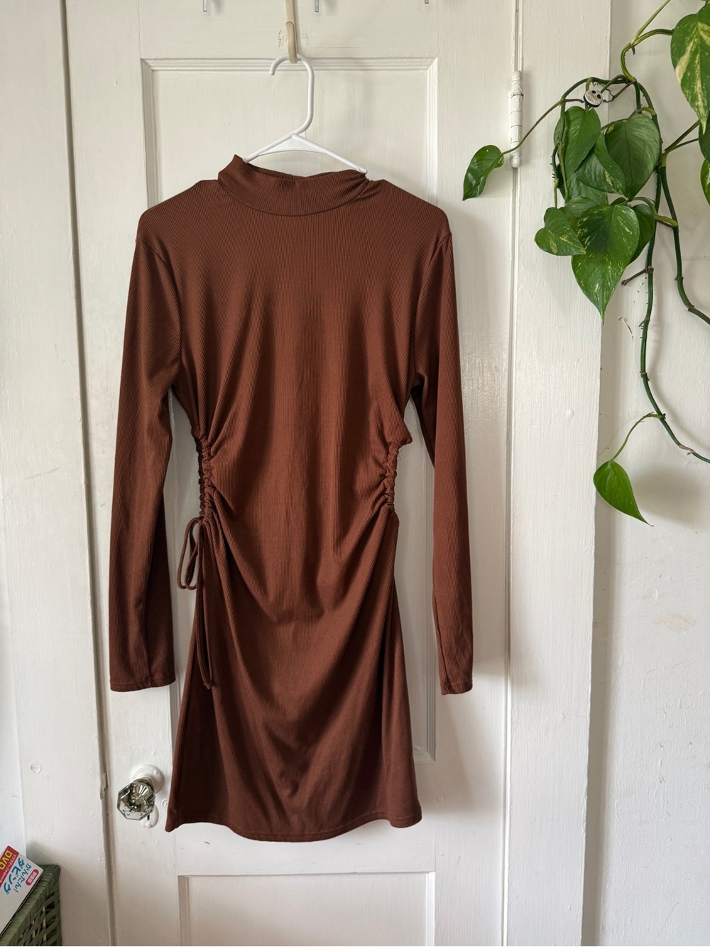 Birch & Stone Long Sleeve Ruched Side Mini Dress in Brown